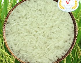 5451 Rice